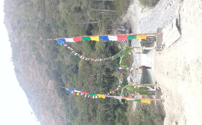 Flags for peace