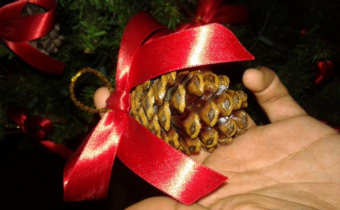 Adorno Navideño