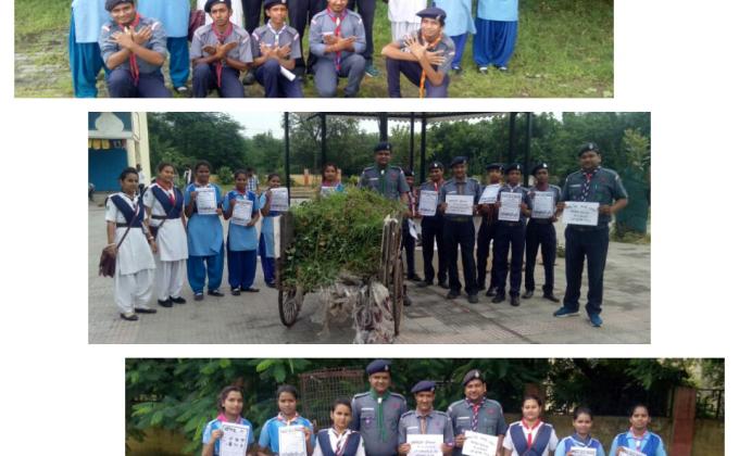 International Peace Day