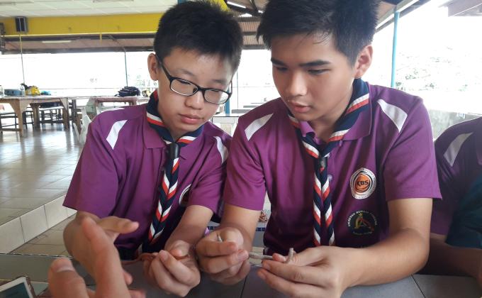 Learning new knots