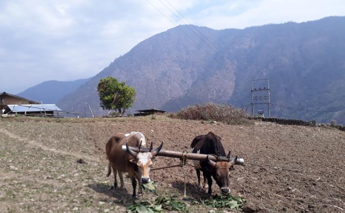Helping Hand to our villagers 