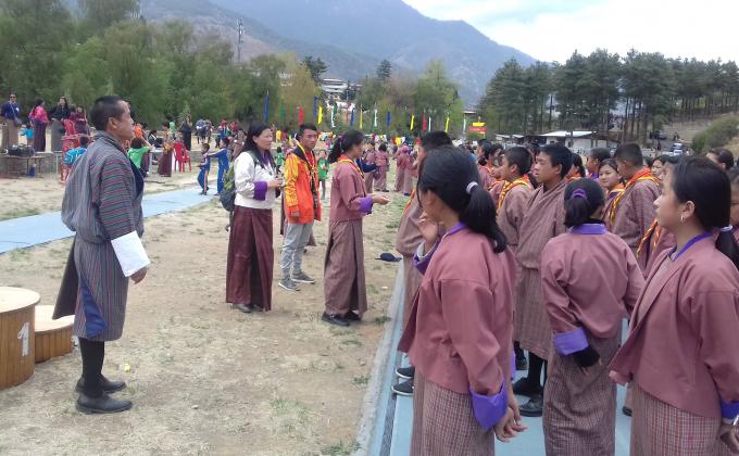 Mass cleaning program by scouts 