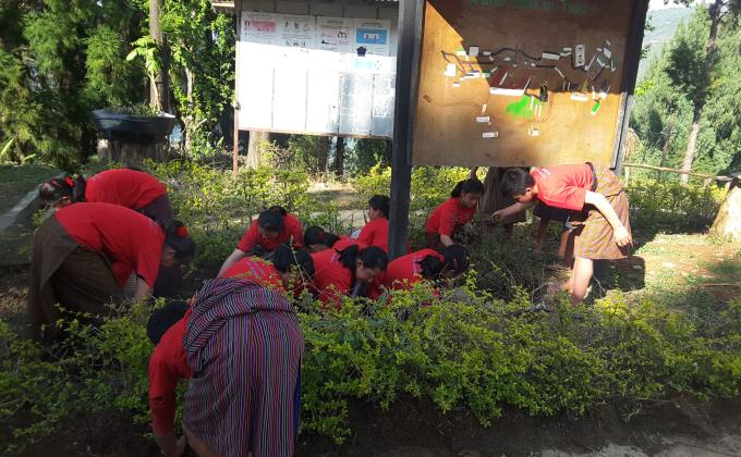 Gardening 