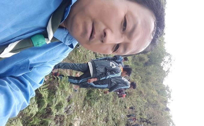 ཐབ་ཤིང་བསྡུ་ལེན།