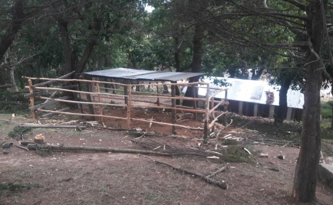 ཕྱགས་སྙིགས།