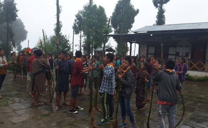 Bamboo plantation along the landslide road side for protection and soil fertility