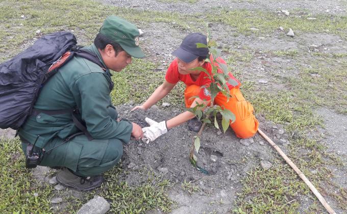 Plantation along the Highway