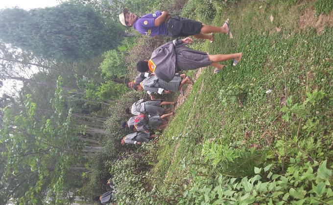 Bamboo uproot for june 2nd planting