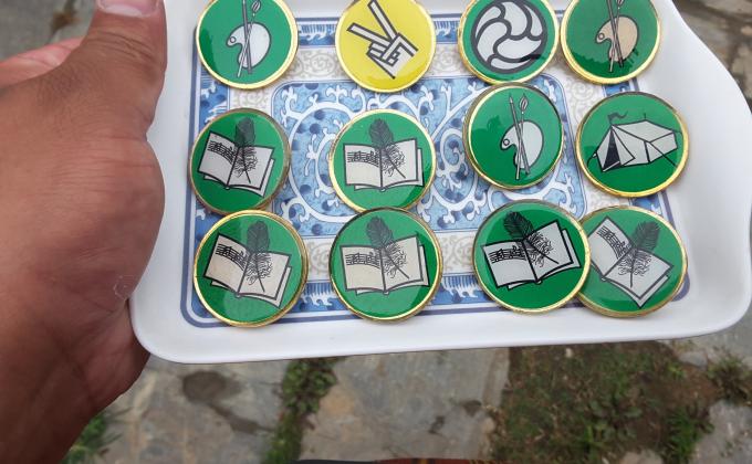 Award of proficiency badges