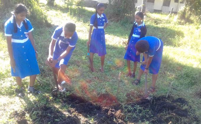 GARDENING PEACE PROJECT - RELEASE STRESS, DIG UP A GARDEN 