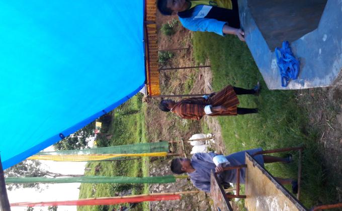 Coming together to create peace to world