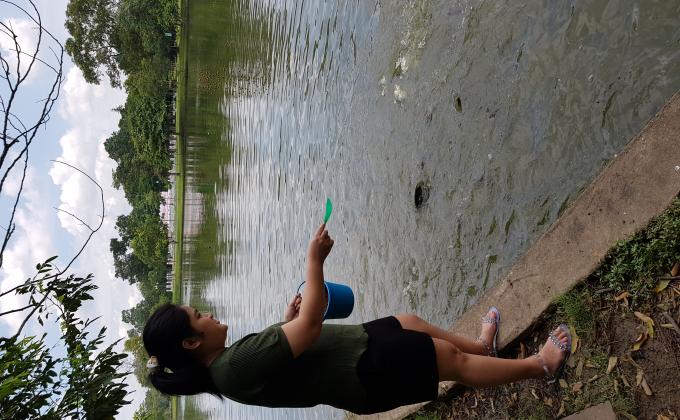 นำอาหารปลาไปบริจาคให้เกาะสุนัข จังหวัดนครปฐม
