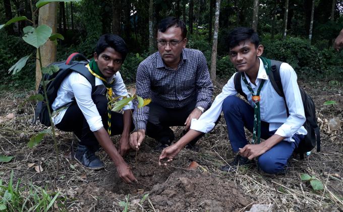 Tree Plantation 