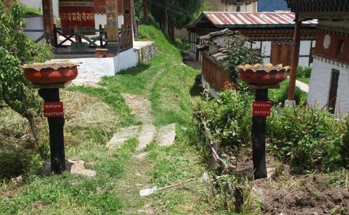 Flower Pot from Tyre.