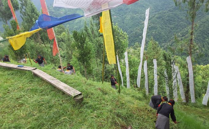 Beautifing school surroundings