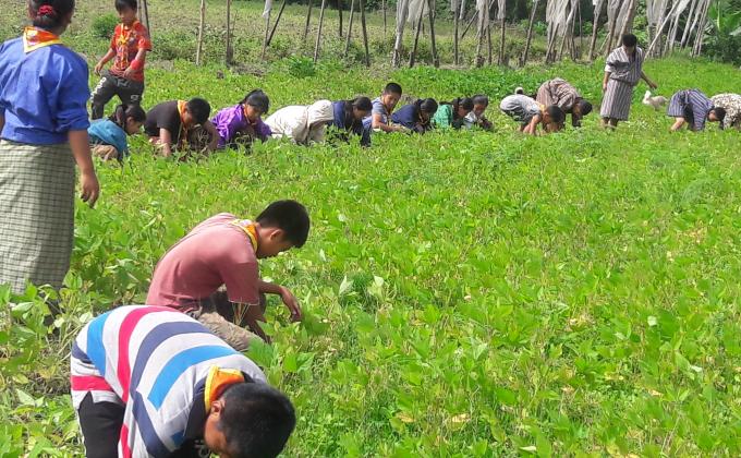 Excursion work by scout members of Dechheling L.S.S. P/gatshel