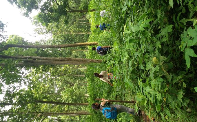 Rover rangers hiking