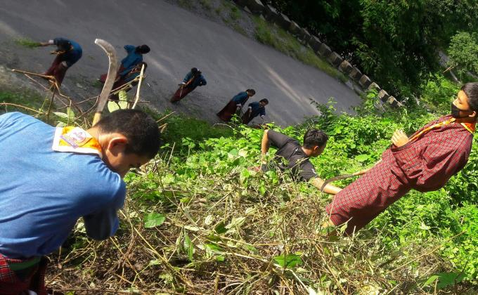 Clearing the bushes