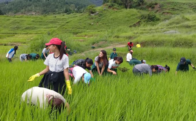Weeding at Mega Farm, CNR