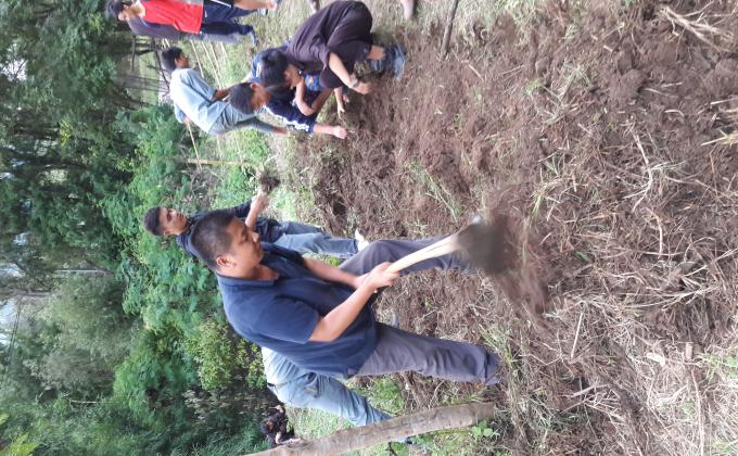 Rover Scout Agriculture garden.