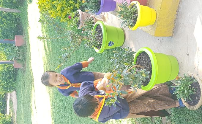 Love and care for Nature. 