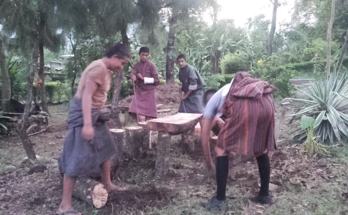 Developing mini park