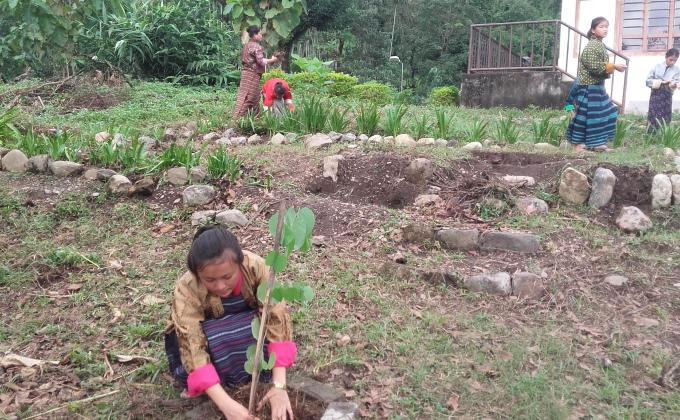 Plant today for future peace