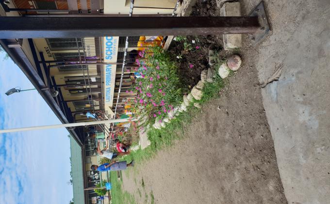 Student Led Initiatives for School Beautification 