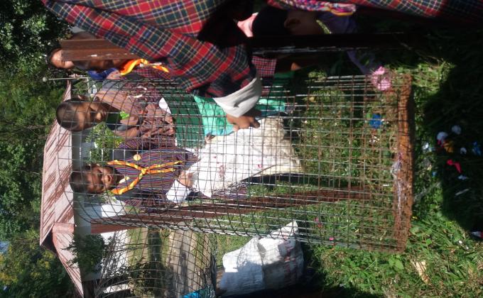 Mass Cleaning Campaign