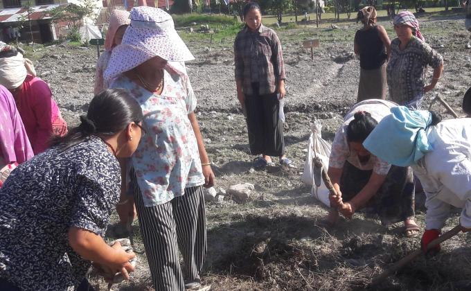 village garden in my school