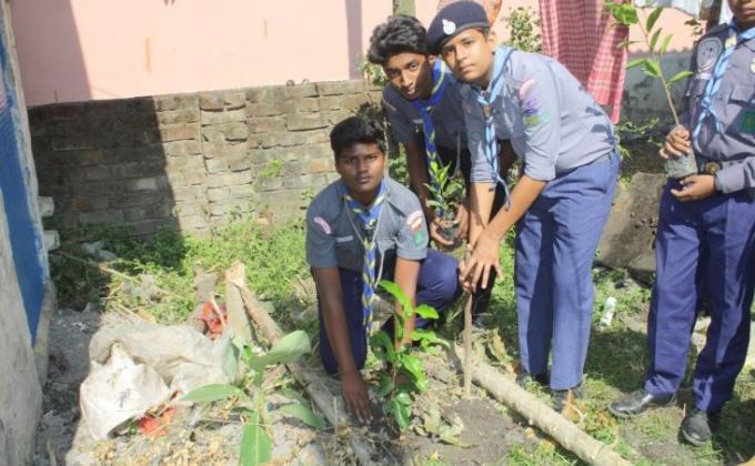 Tree Plantation