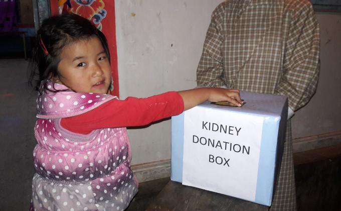 Kidney donation cultural program