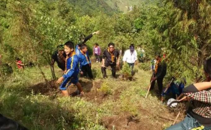 Peace is protecting nature