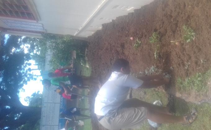 PLANT MORE TREES FOR A BETTER WORLD