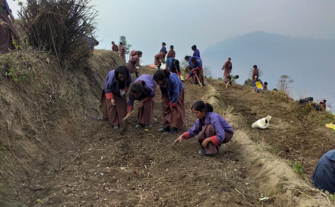 vegetable plantation training 