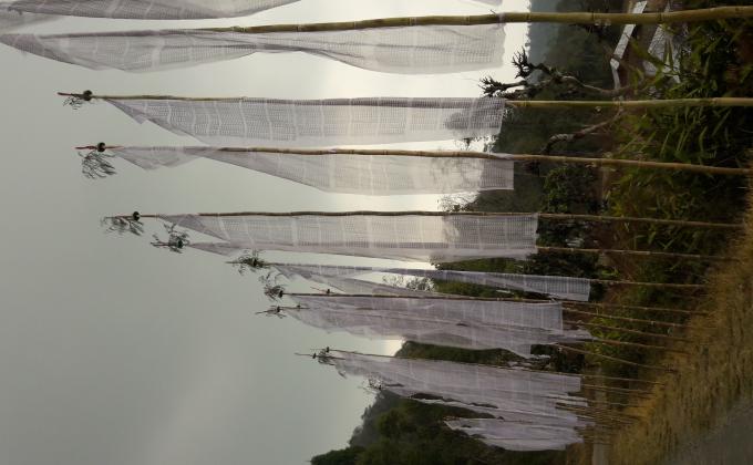 "Eracting prayer Flags on world happy day"