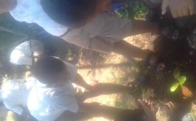 PLANT FOR A BETTER FUTURE