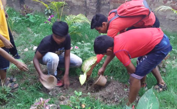 Tree plantation programme