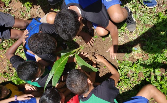 Plant a tree and save the earth