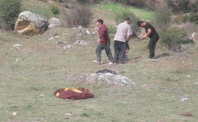 moiled leaves collection for the plantation