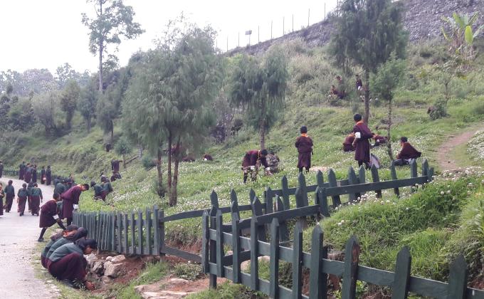 School development (environment )