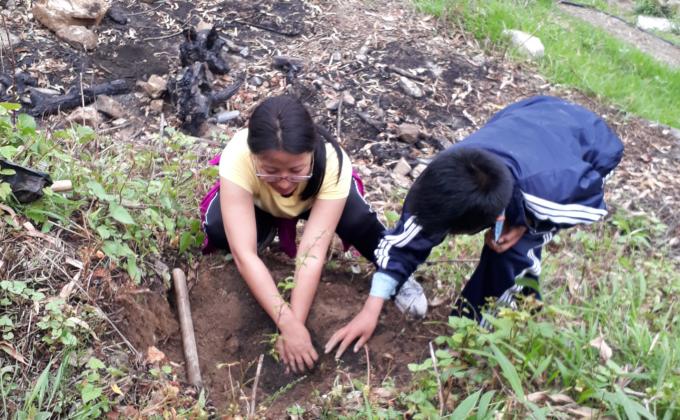 Plant to save nature