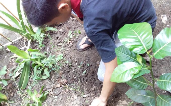 Cleaning Campaign