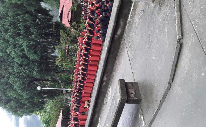 scout programme 