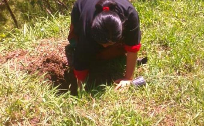 Social Forestry Day