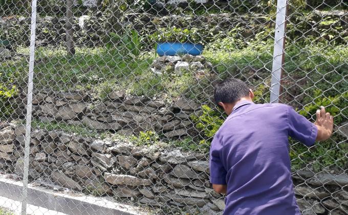 Campus Beautification