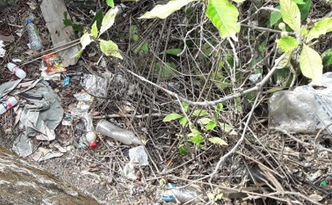 Taking responsibilities and fun activities