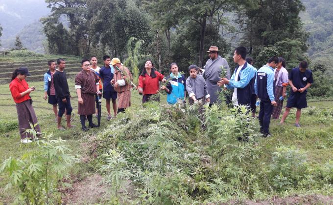 we had organized murjina uprooting campaign for Mendrelgang  communities by MCS students and by students. Theme for that is " Say no to Drugs". No murjina plants in Mendrelgang  community. 