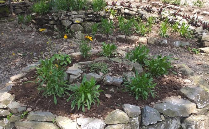 Preparation of flower Garden and continues maintenance 