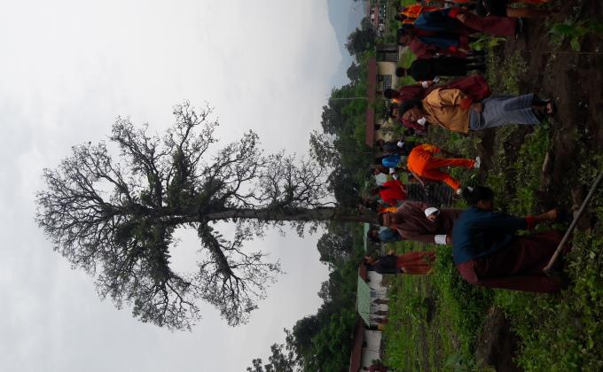 Social Forestry Day 